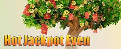 နေ့စဉ် VIP ငွေပြန်အမ်းချက် promotion banner